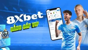 Giới thiệu tổng quan nhà cái 8xbet